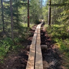 Pietarsaaren Vaellusreiti