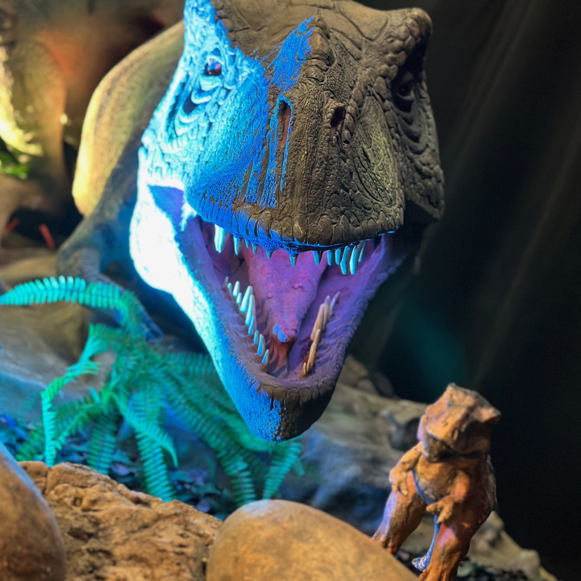 Tyrannosaurus rex