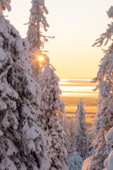 Winter Landscapes of Riisitunturi –photography excursion