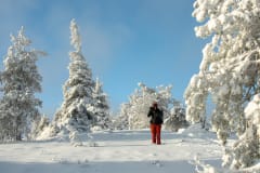 Winter Landscapes of Riisitunturi –photography excursion