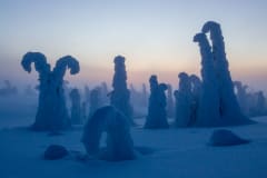 Winter Landscapes of Riisitunturi –photography excursion