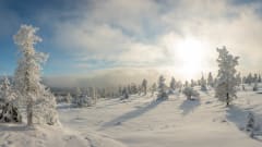 Winter Landscapes of Riisitunturi –photography excursion