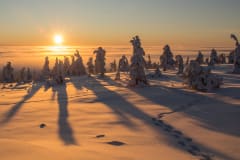 Winter Landscapes of Riisitunturi –photography excursion