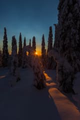 Winter Landscapes of Riisitunturi –photography excursion