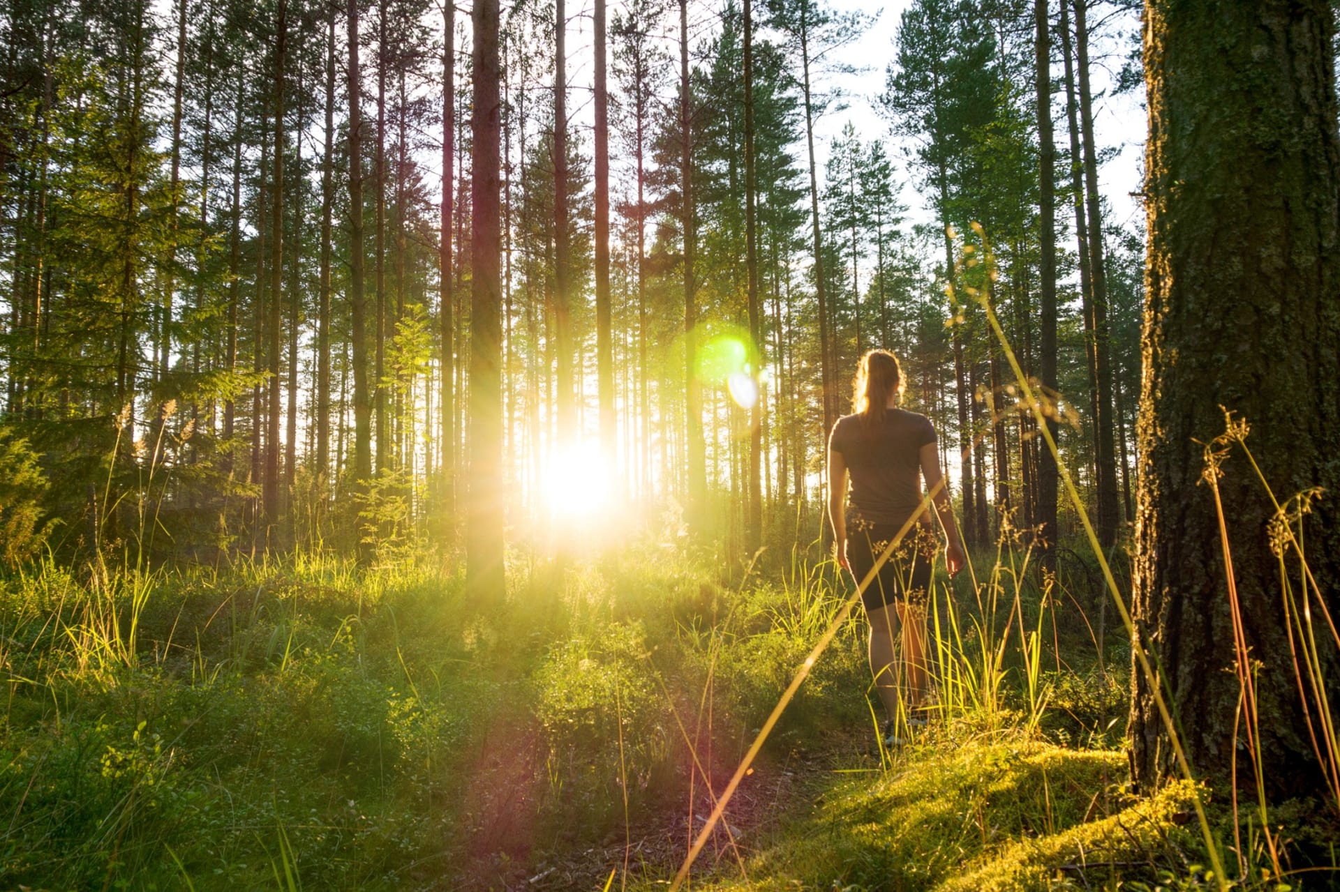 Majatalosta majataloon kävellen