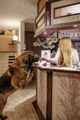 Vastaanotto aulassa.