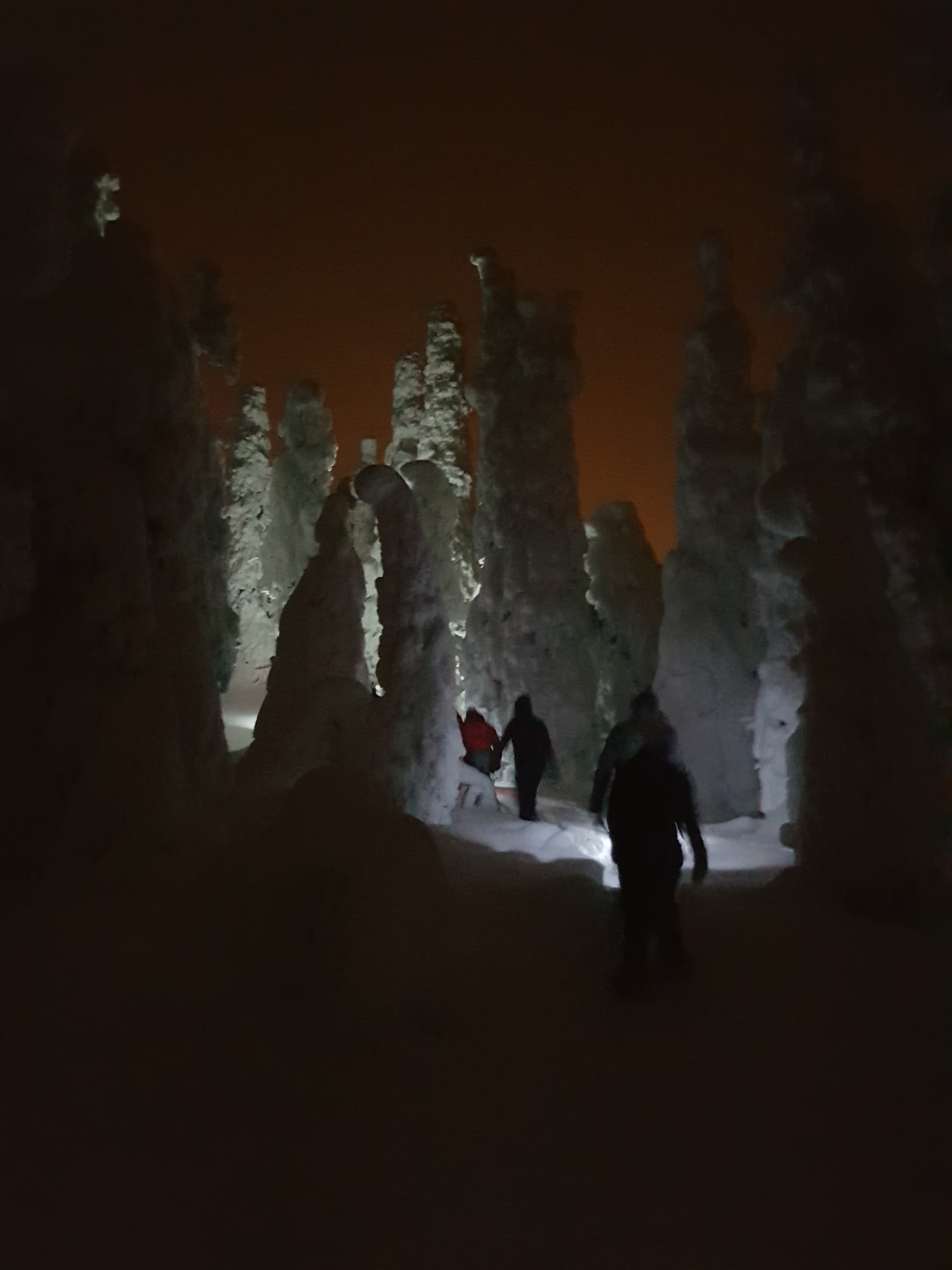 Arctic night walk in Kuusamo Finland