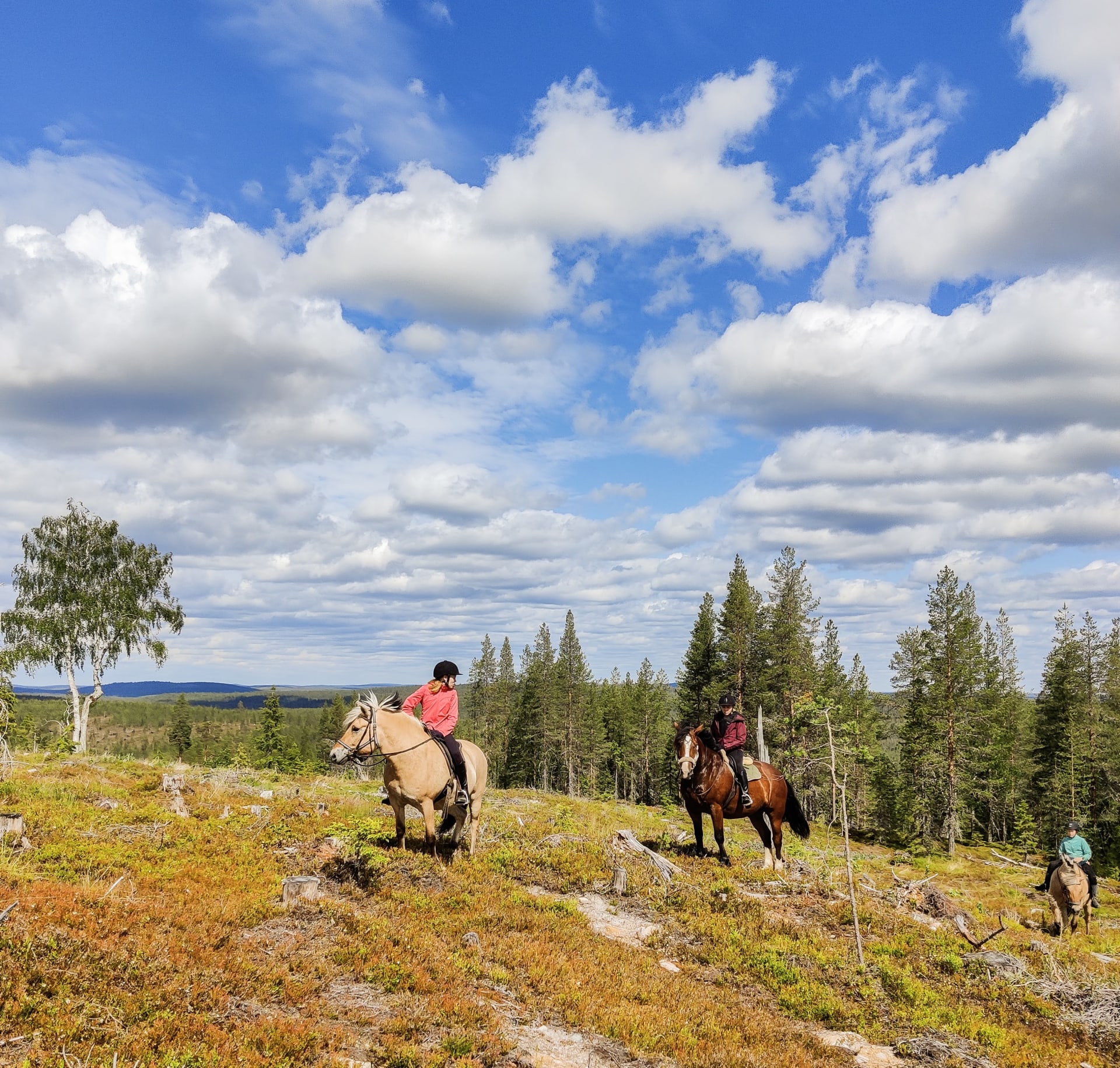 Summer Horse ride adventure for beginners