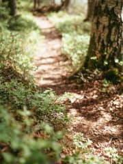 Polku kutsuu luontoon