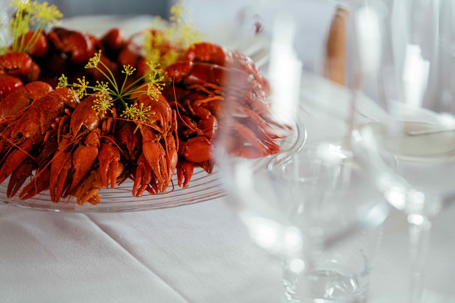 Crayfish