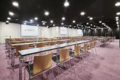 Conference room for 250 people