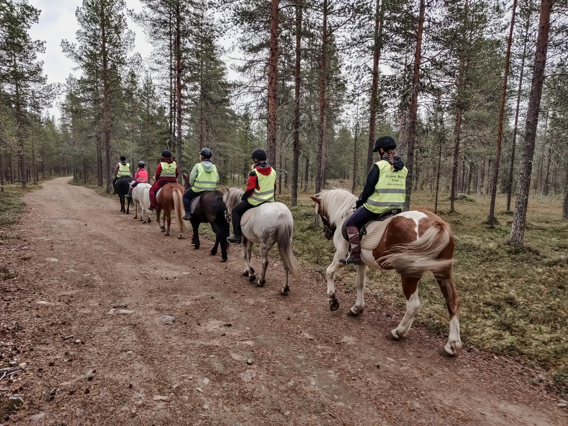 Riding Treks With Charming Icelandic Horses In Oulu! | Visit Finland