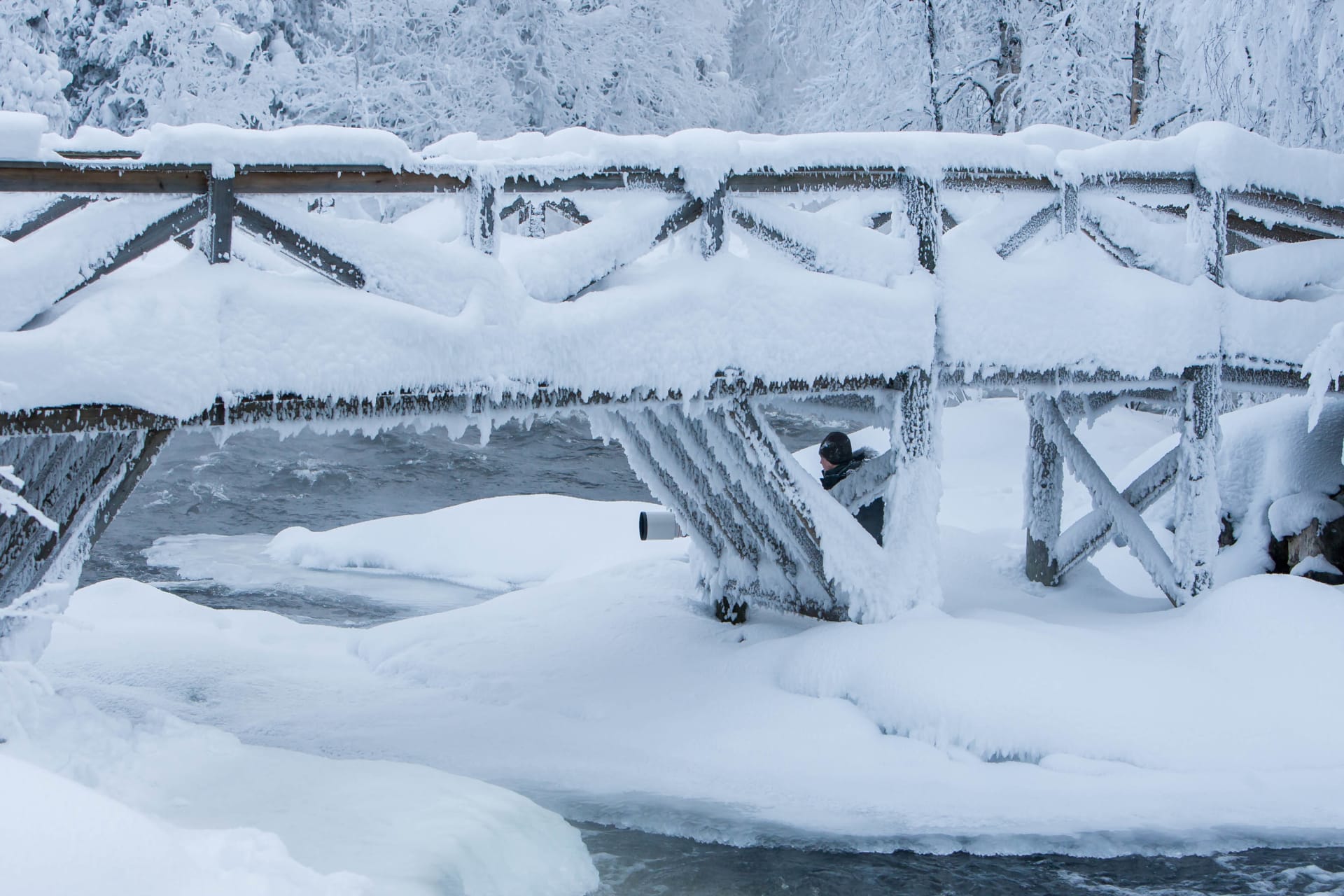 Rivers of the Oulanka National Park –photography excursion
