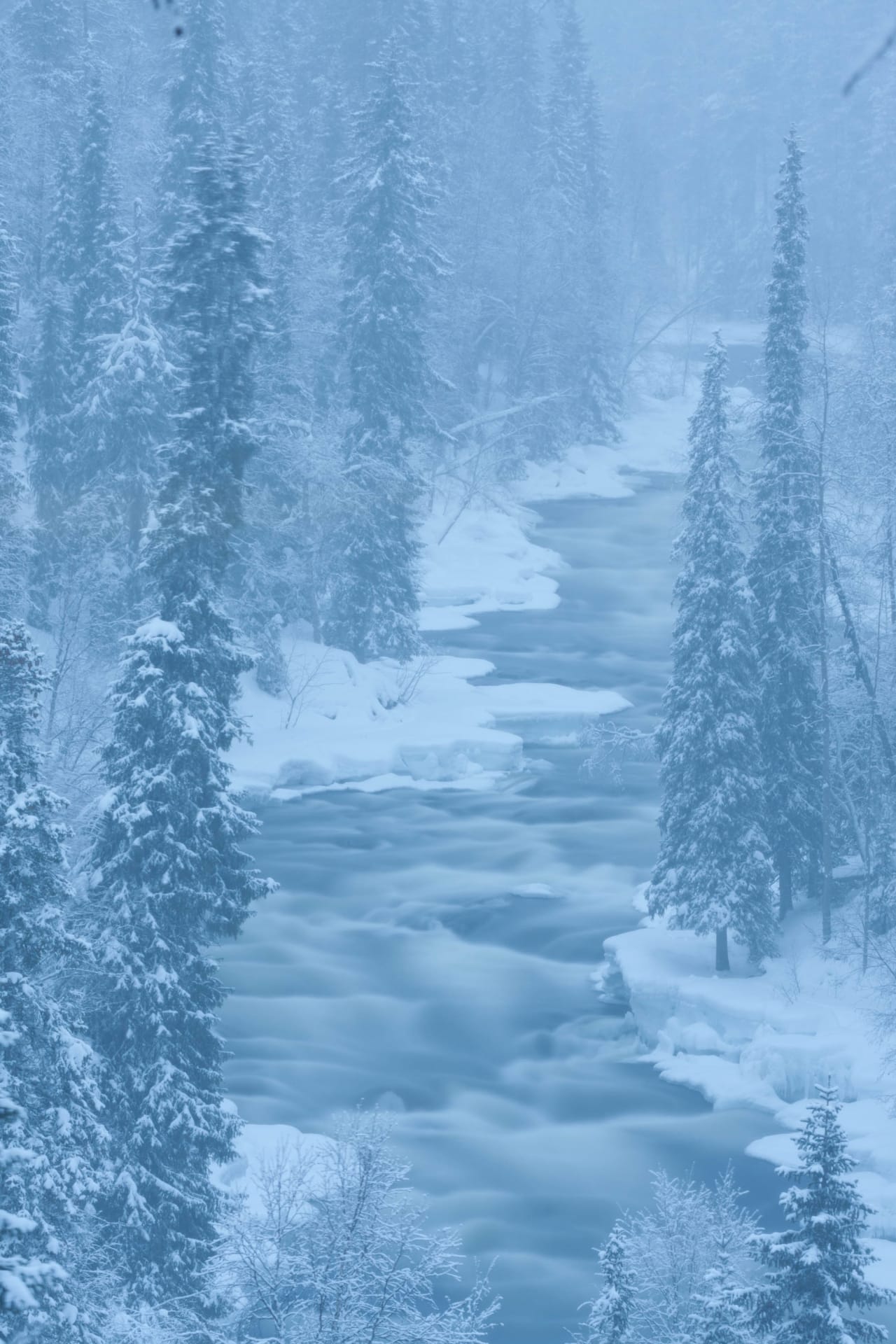 Rivers of the Oulanka National Park –photography excursion