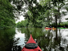 Paddla kajak i ån under sommaren