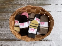 Villalapasia pärekorissa