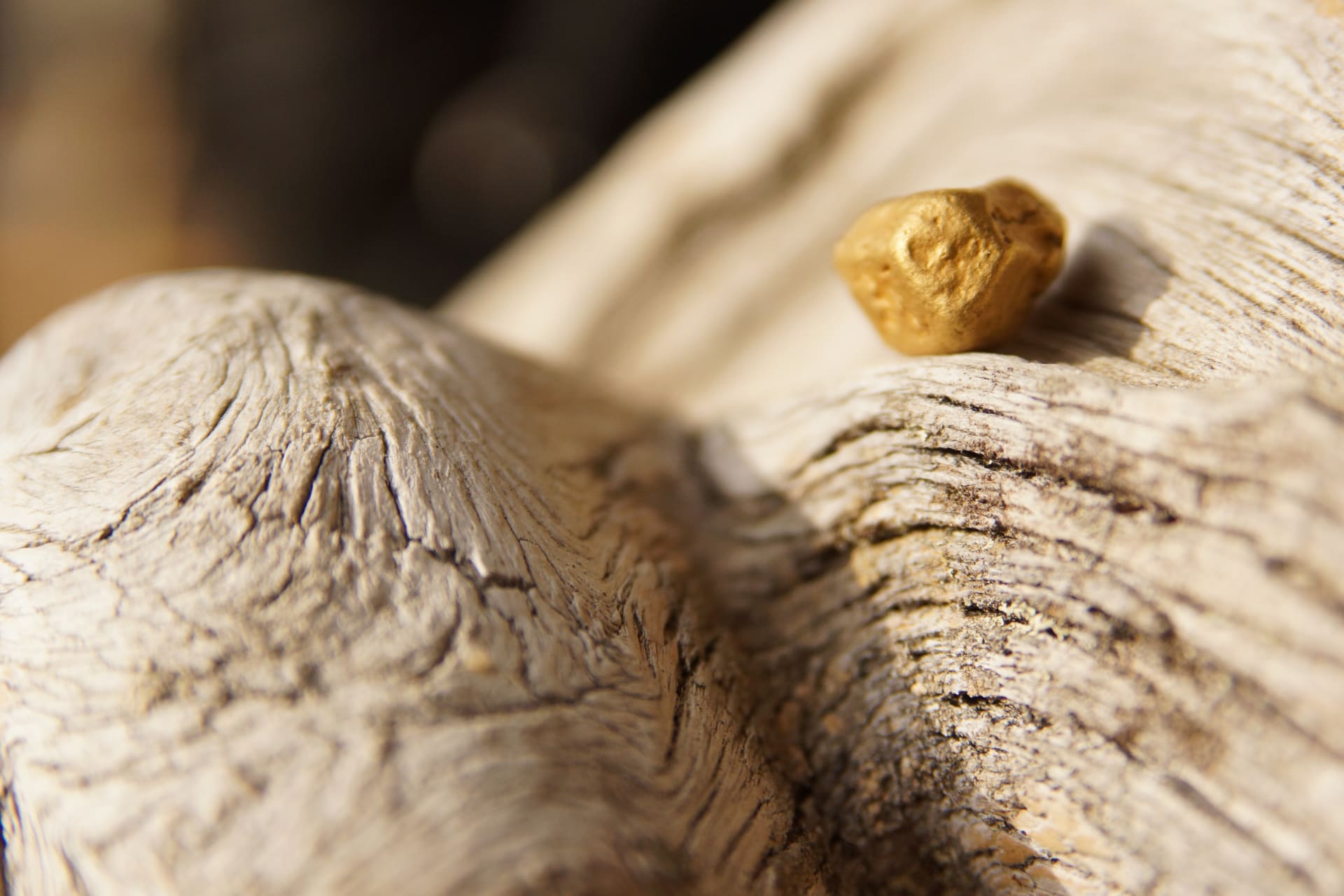 Gold panning treasures