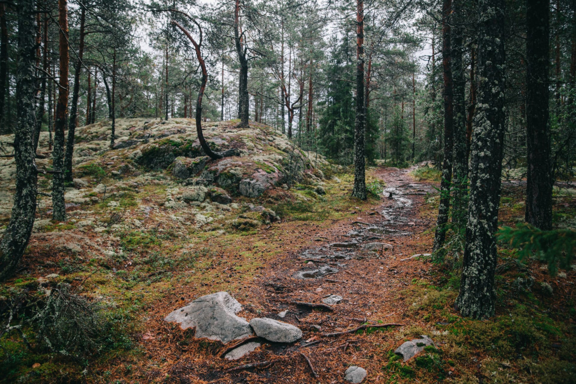 Nature path Naantali