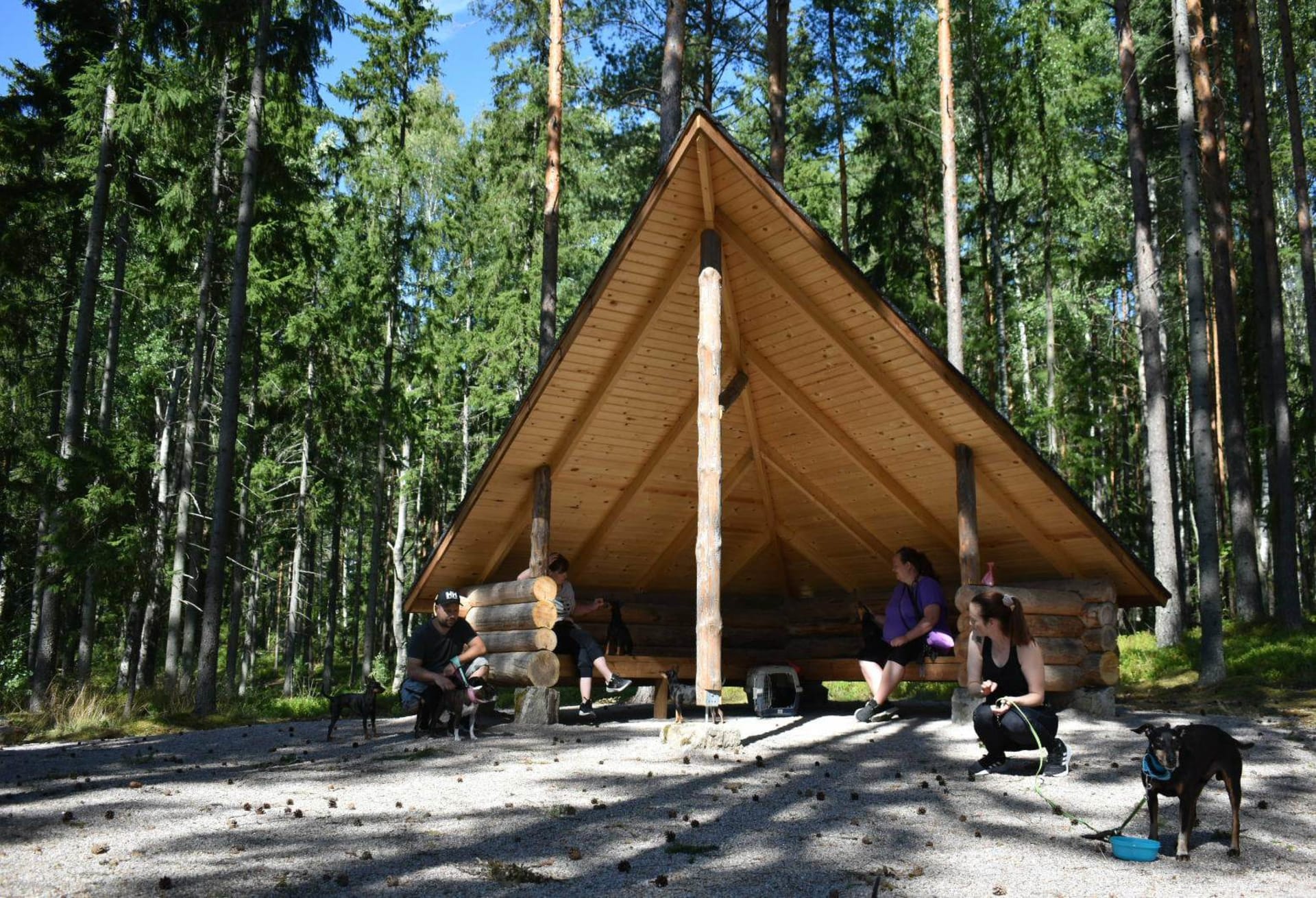 Torpan metsän laavu tarjoaa varjoa aurinkoisilla keleillä ja suojaa sateelta.