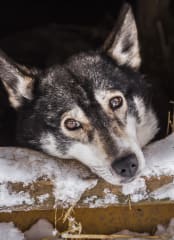 Talvinen seikkailupäivä koko perheelle