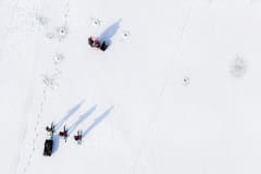 Frozen Sea to Forest Experience 1
