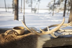 Campfire on Peura trail