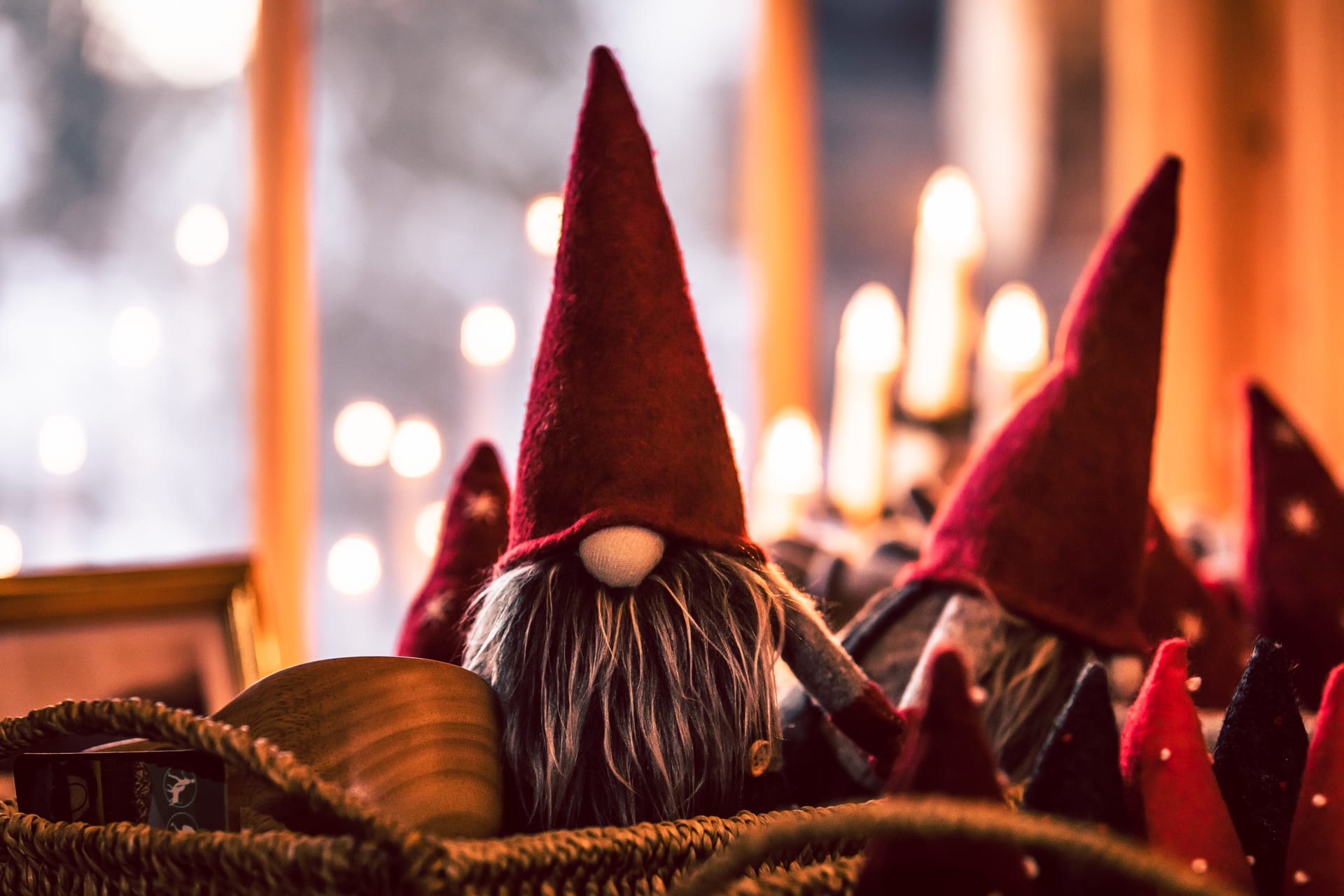 Happy Fox Elves