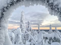 Valtavaaran talvimaisemat -luontokuvausretki