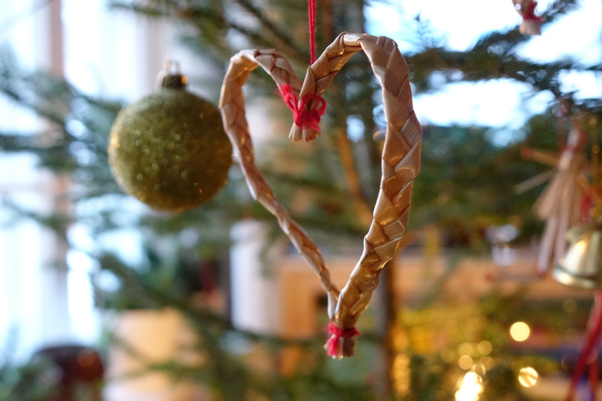 Pre-Christmas Magic in the Finnish Lakeland