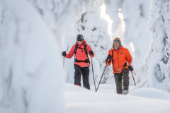 Lumikenkäretki Syötteen kansallispuistossa