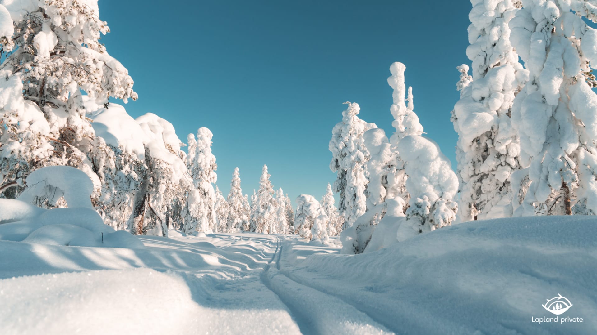 Winter Landscape