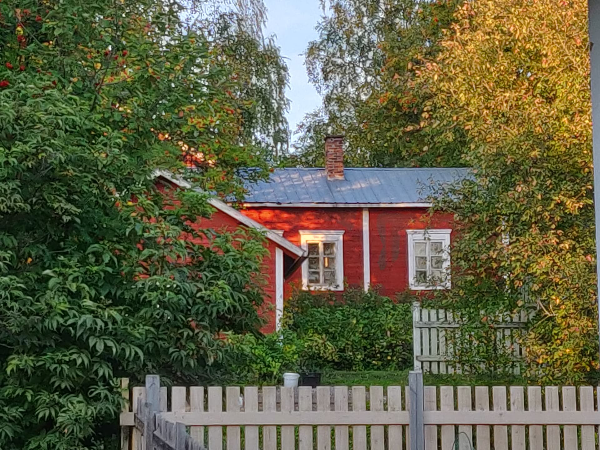 https://aksytammat.fi/en/p/1129/biking-tour-aroud-lake-pielinen