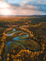 Vesijettisafari Savukoskelle, päiväretki