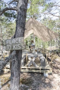Connect to nature on the island forests of Vartsala