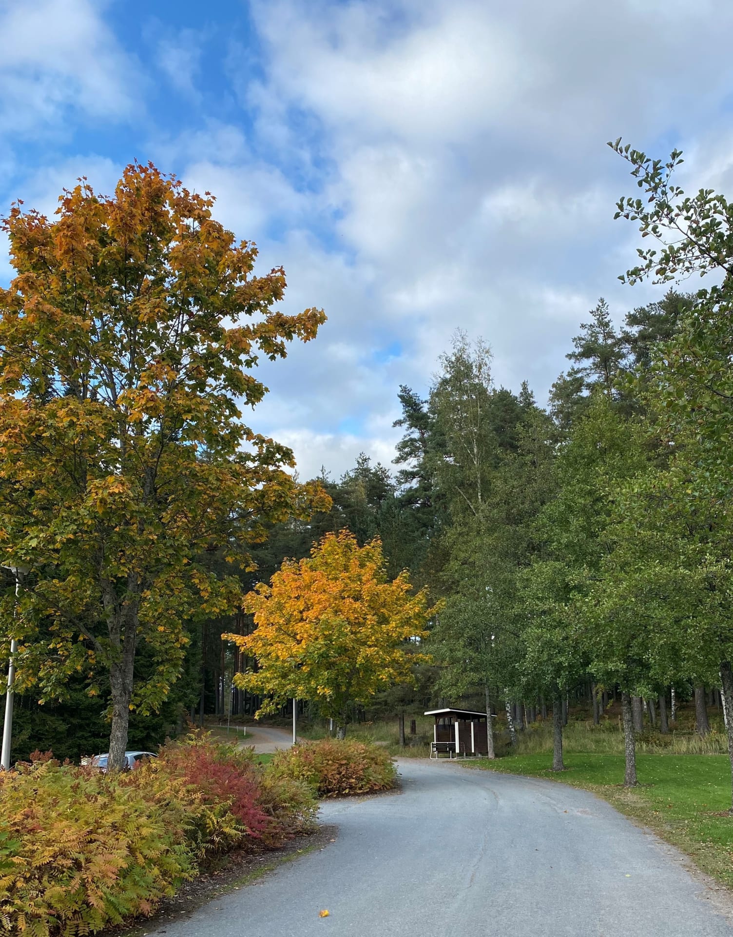 Kiipula disc golf parking area