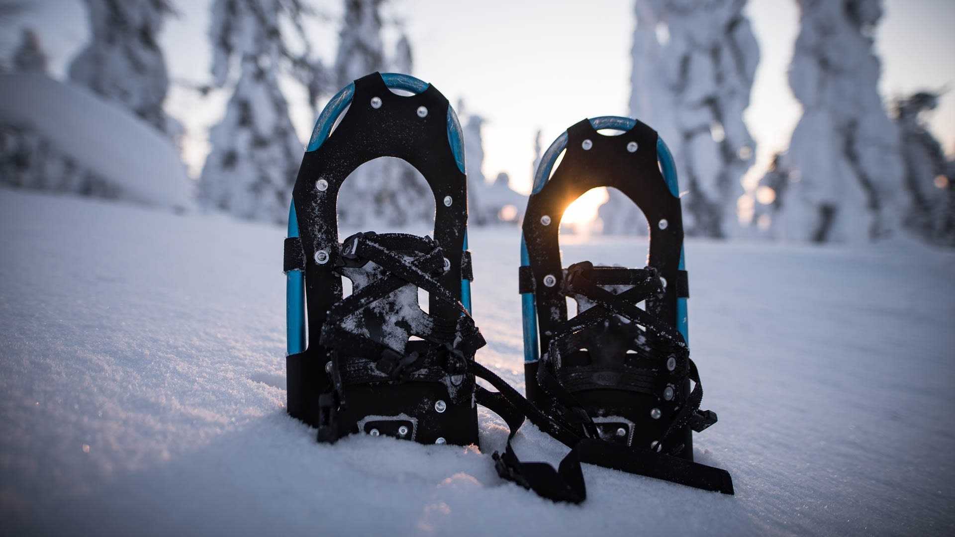 Snowshoes
