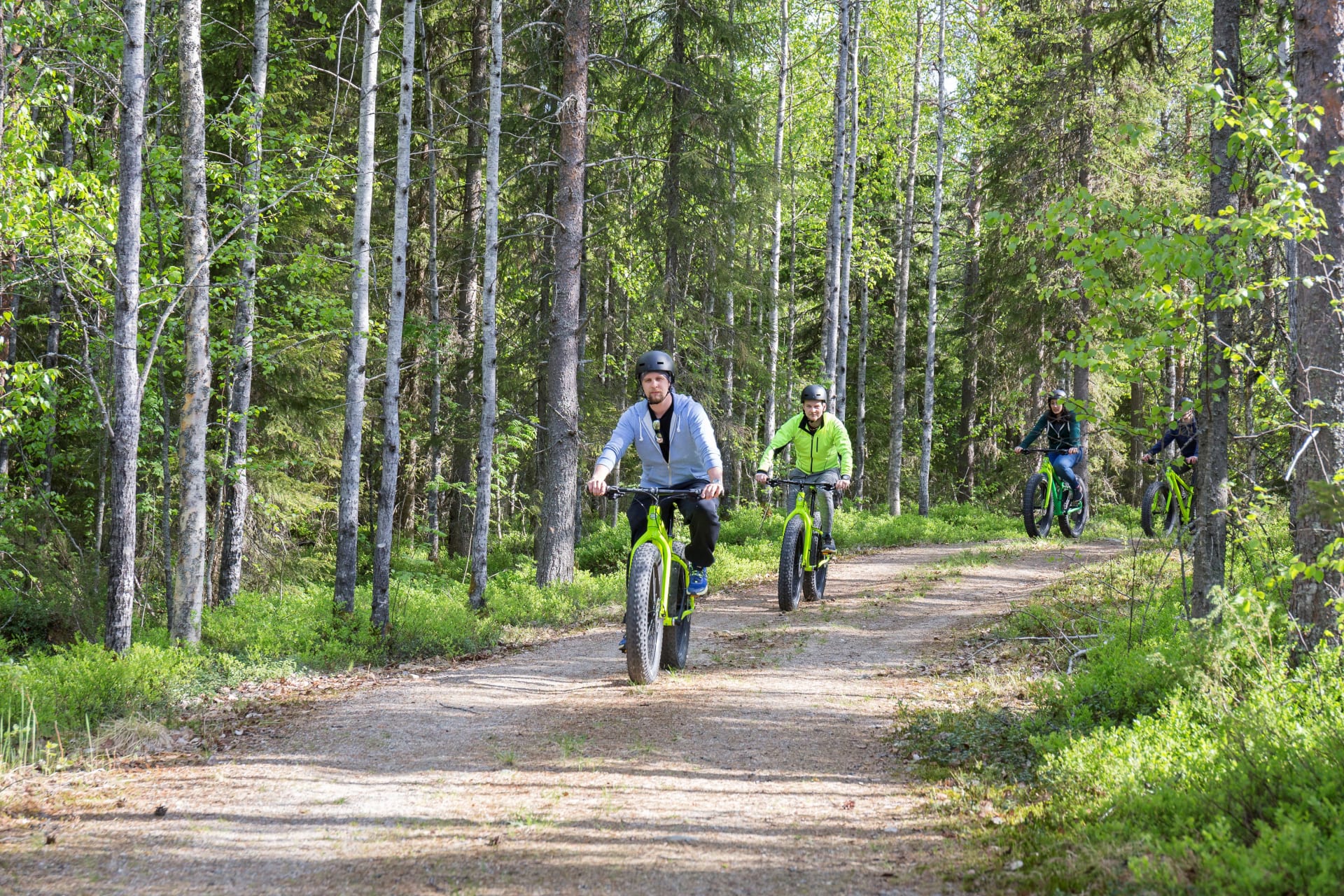 Fat Bike safari through green forest