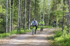 Fat Bike safari through green forest