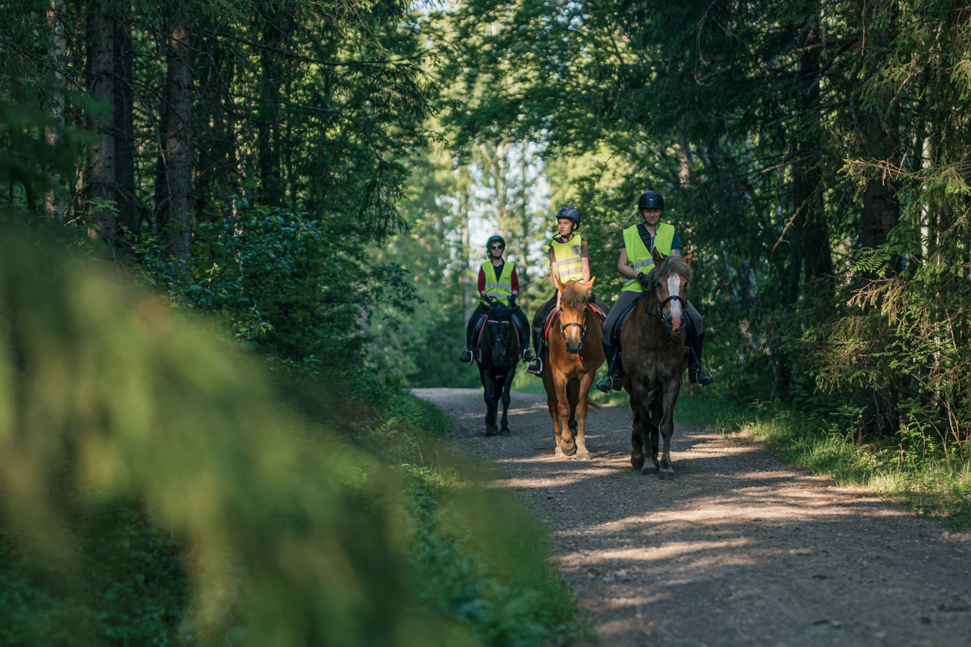 A Two-Hour Finnhorse Trek