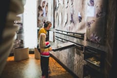 Liminganlahti - Lintujen kahdeksan vuodenaikaa -näyttelyopastus