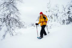 Snow shoeing