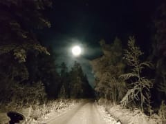 1h kuutamovaellus - Ratsastusvaellus kuusamolaisessa metsässä pimeän aikaan kuun valossa yhdessä varmajalkaisen suomenhevosen kanssa