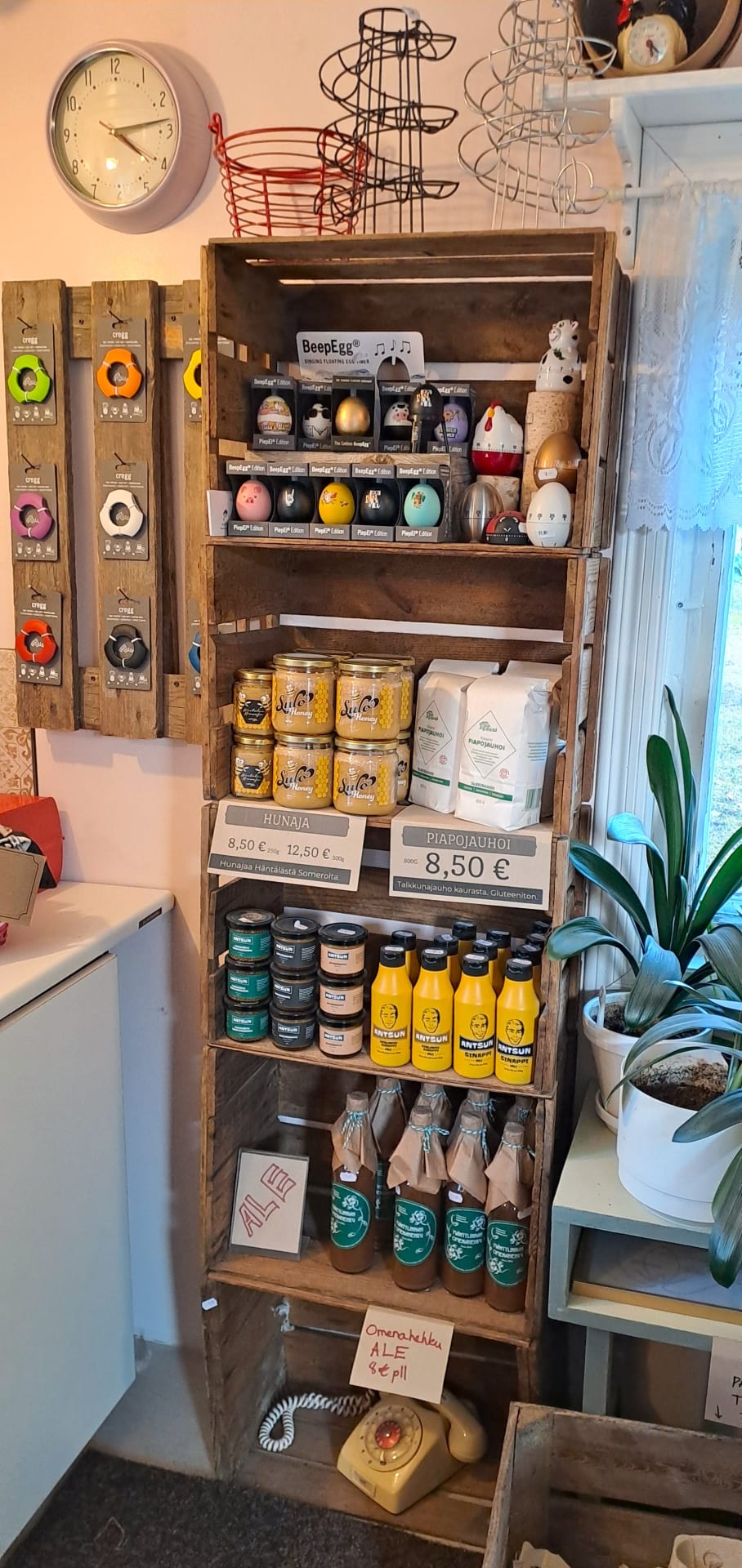 Hönsägg och färgglada äggkartonger