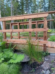 Silta yli Olavinlähteen puron