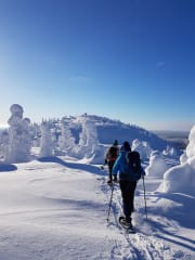 Lumikenkäretki Valtavaaran rinteillä