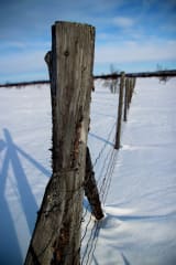 poroaitatolppa erämaassa