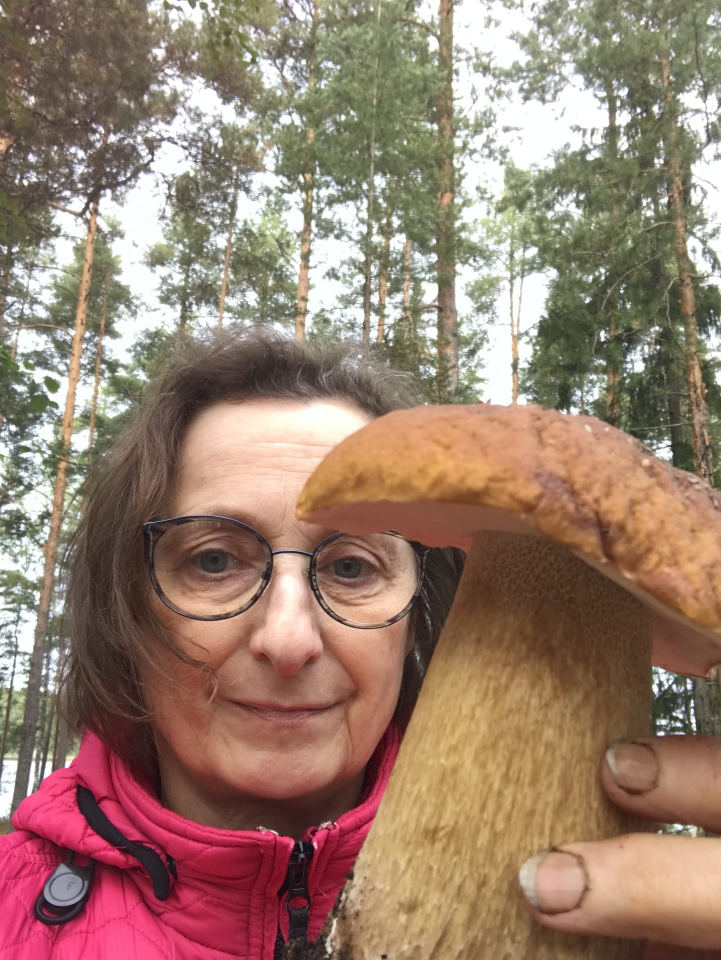 Opastettu sieniretki Asikkala Päijänne
