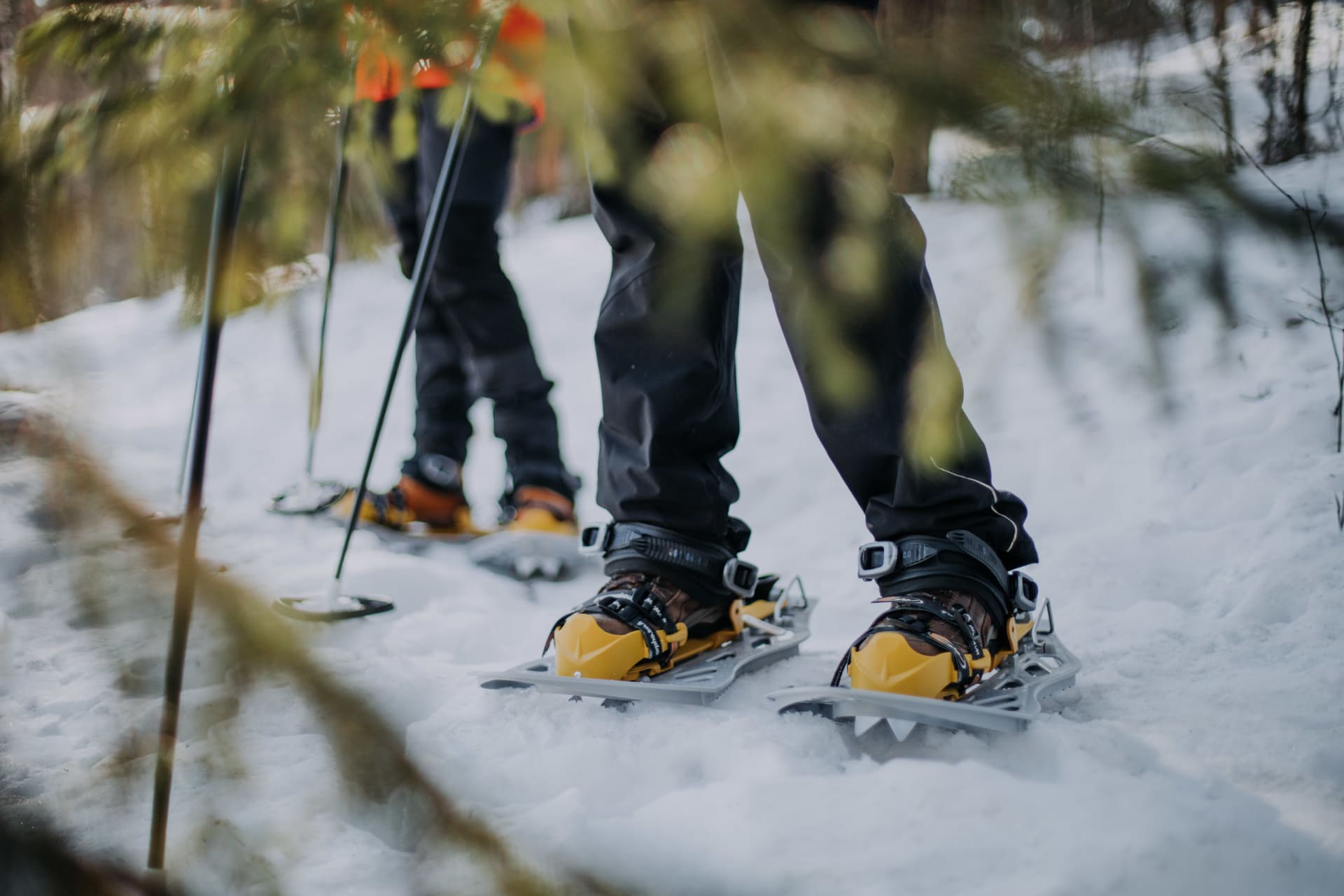 Snowshoes