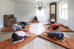 Instructed yoga sessions
