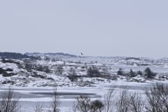 Talvi. Meri jäässä ja sen päällä lunta. Jäiden seassa luotoja joilla on lunta. Luotojen päällä lentää merikotka. Kuva: Jarmo Vehkakoski.